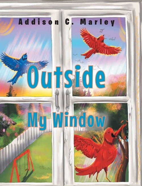 Outside My Window (Hardcover)