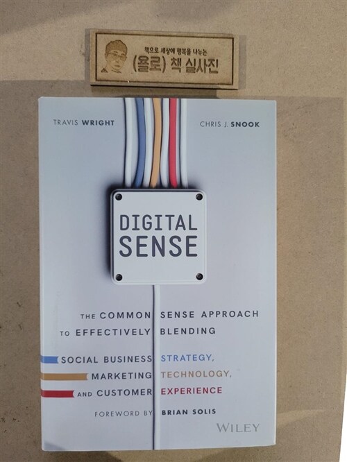 [중고] Digital Sense: The Common Sense Approach to Effectively Blending Social Business Strategy, Marketing Technology, and Customer Experie (Hardcover)