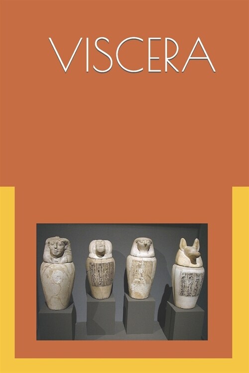 The Viscera: Ancient Egyptian Internal Medicine (Paperback)