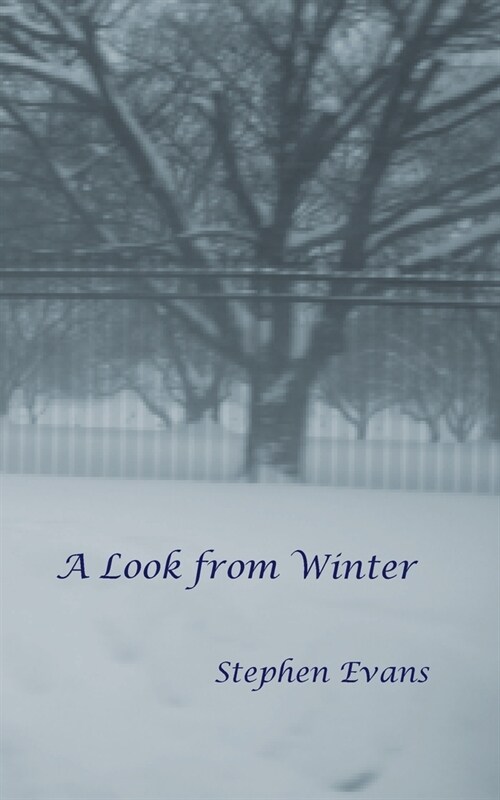 A Look from Winter (Paperback)