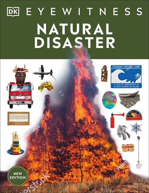 Eyewitness Natural Disasters (Paperback)
