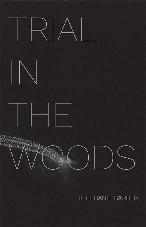 Trial in the Woods (Paperback)