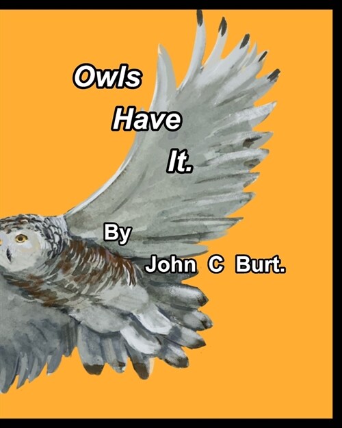 Owls Have It. (Paperback)