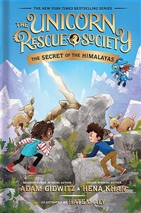 The Secret of the Himalayas (Paperback)