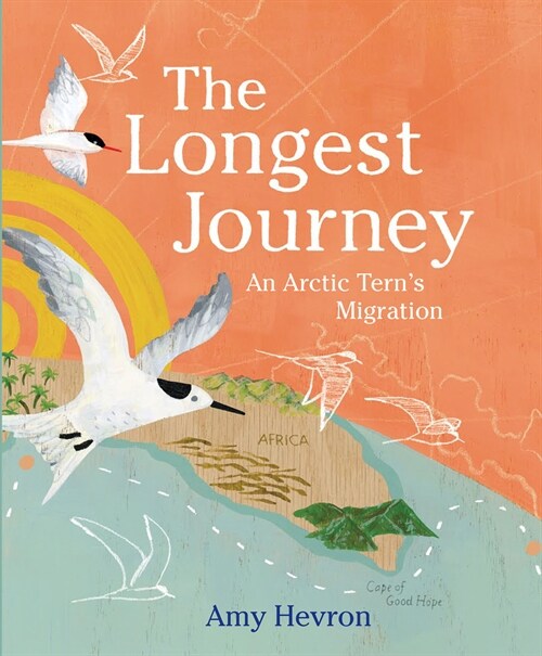The Longest Journey: An Arctic Terns Migration (Hardcover)
