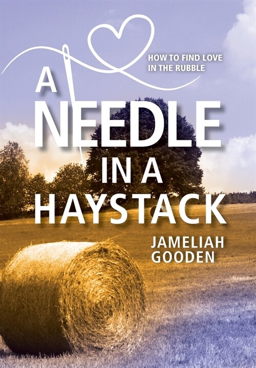 A Needle in a Haystack: How to Find Love in the Rubble (Hardcover)