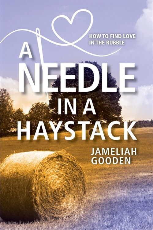 A Needle in a Haystack: How to Find Love in the Rubble (Paperback)