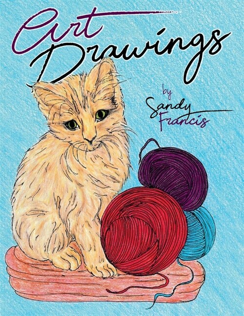 Art Drawings (Paperback)