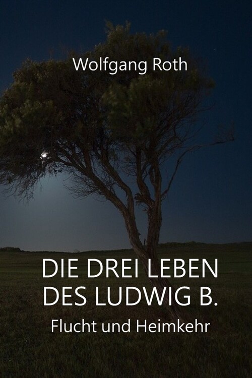 Die drei Leben des Ludwig B.: Flucht und Heimkehr (Paperback)