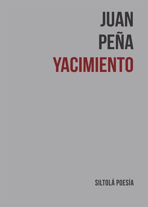 YACIMIENTO (Paperback)