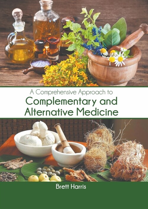 A Comprehensive Approach to Complementary and Alternative Medicine (Hardcover)
