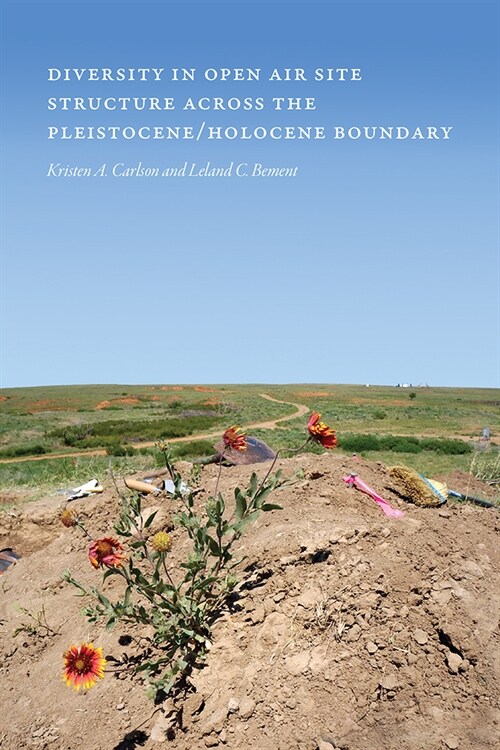 Diversity in Open-Air Site Structure Across the Pleistocene/Holocene Boundary (Hardcover)