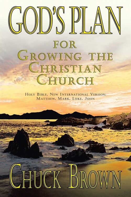 Gods Plan: For Growing the Christian Church (Paperback)
