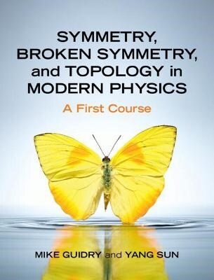 Symmetry, Broken Symmetry, and Topology in Modern Physics : A First Course (Hardcover, New ed)