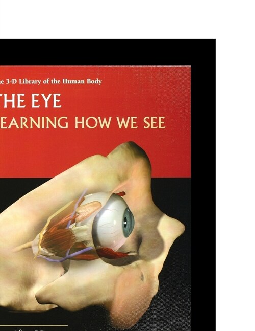 The Eye: Learning How to See (Paperback)