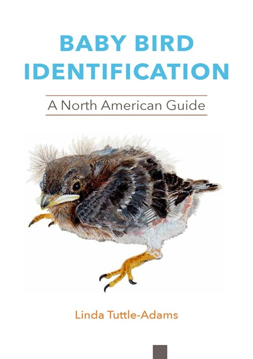 Baby Bird Identification: A North American Guide (Paperback)