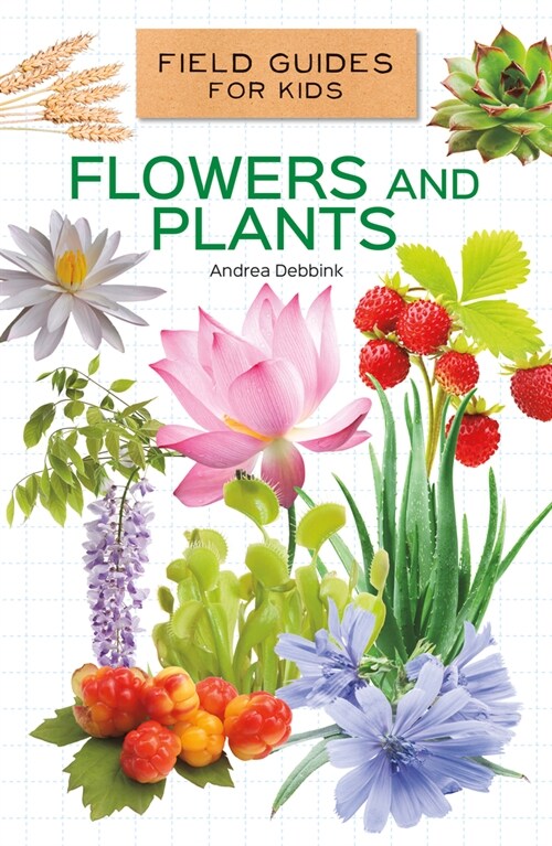 Flowers and Plants (Library Binding)