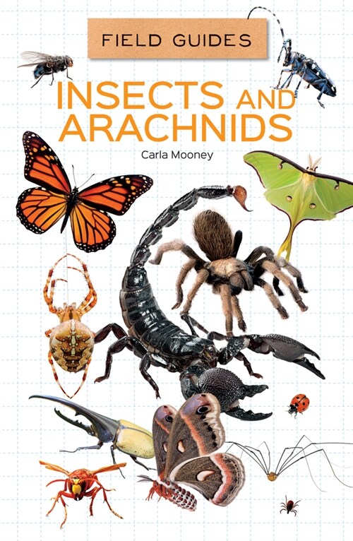 Insects and Arachnids (Library Binding)
