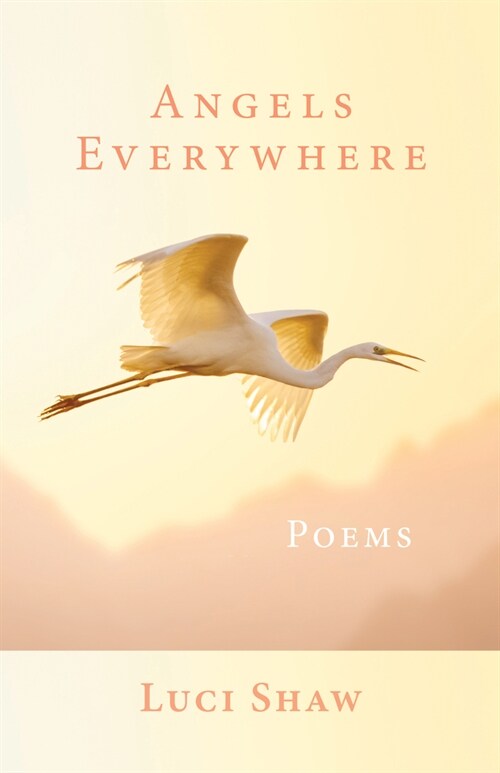Angels Everywhere: Poems (Paperback)