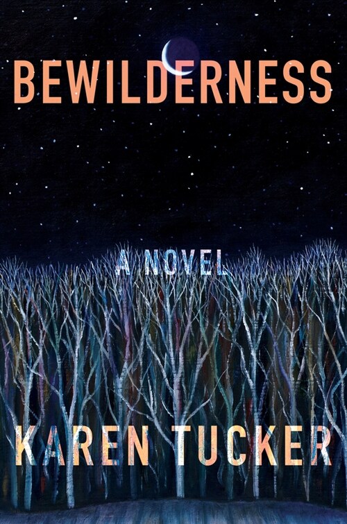 Bewilderness (Paperback)