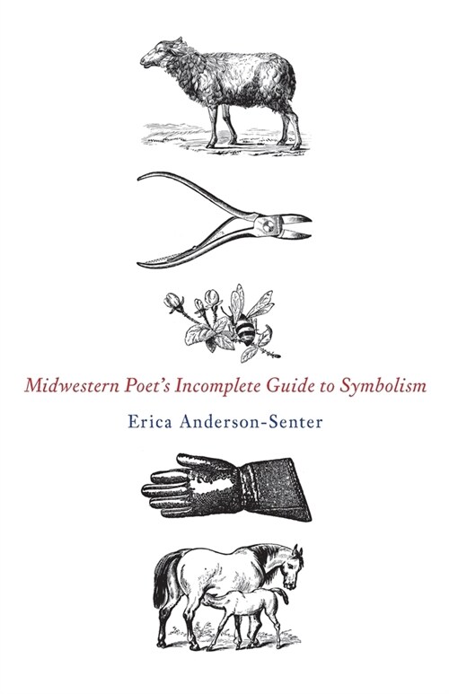 Midwestern Poets Incomplete Guide to Symbolism (Paperback)