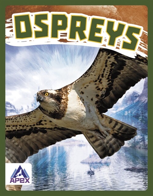 Ospreys (Library Binding)