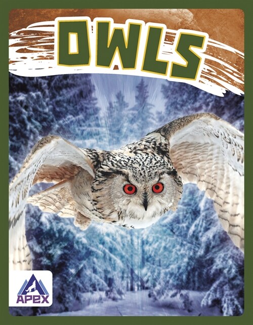 Owls (Library Binding)