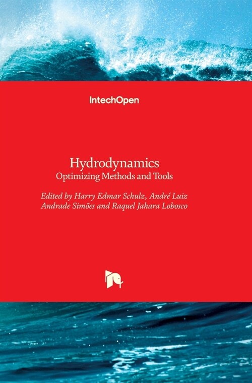 Hydrodynamics: Optimizing Methods and Tools (Hardcover)