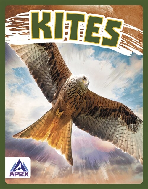 Kites (Paperback)