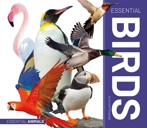 Essential Birds (Library Binding)