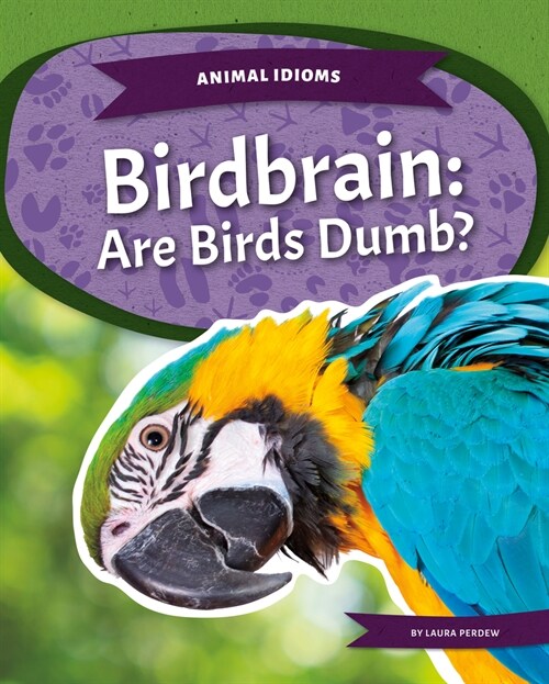 Birdbrain: Are Birds Dumb?: Are Birds Dumb? (Library Binding)