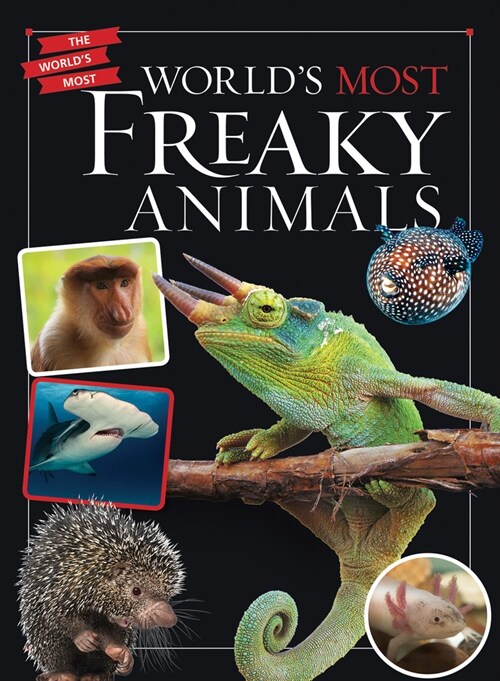 Worlds Most Freaky Animals (Paperback)