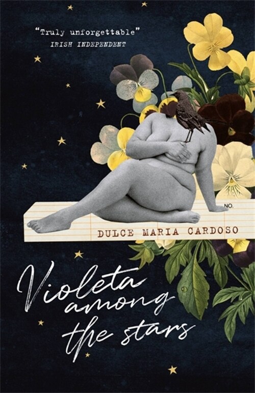 Violeta among the Stars (Paperback)