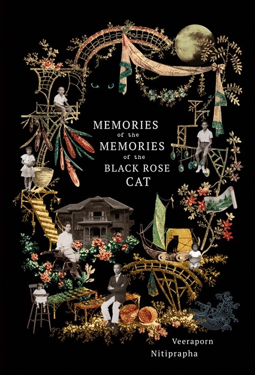Memories of the Memories of the Black Rose Cat (Paperback)