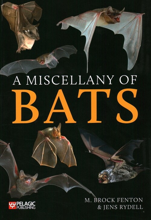 A Miscellany of Bats (Paperback)
