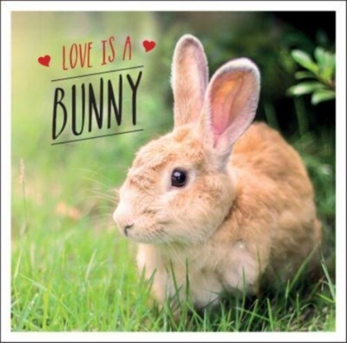 Love is a Bunny : A Bun-derful Celebration of the Worlds Cutest Rabbits (Hardcover)