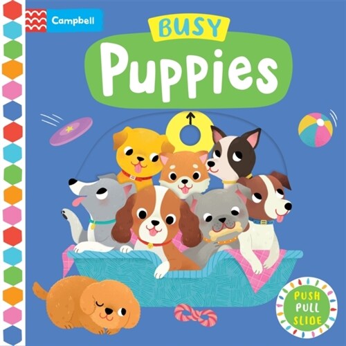 Busy Puppies (Board Book)