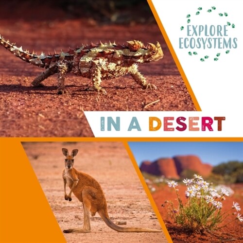 Explore Ecosystems: In a Desert (Paperback, Illustrated ed)