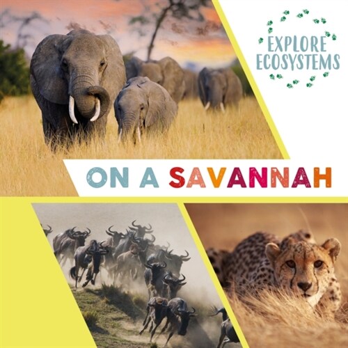Explore Ecosystems: On a Savannah (Hardcover)