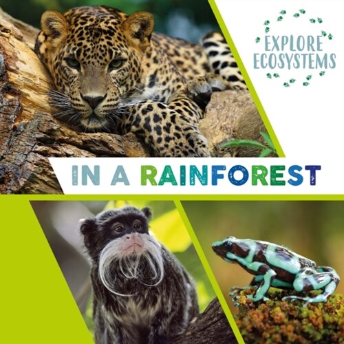 Explore Ecosystems: In a Rainforest (Paperback, Illustrated ed)