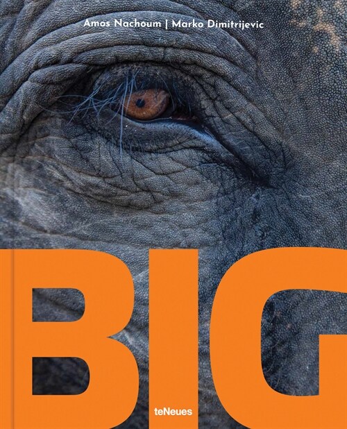BIG: A Photographic Album of the Worlds Largest Animals (Hardcover)