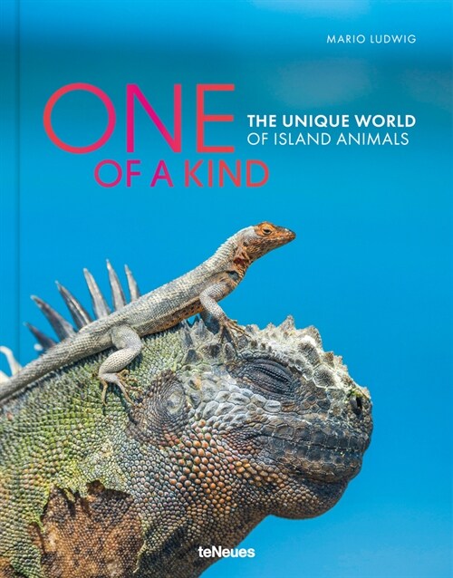One of a Kind: The Unique World of Island Animals (Hardcover)