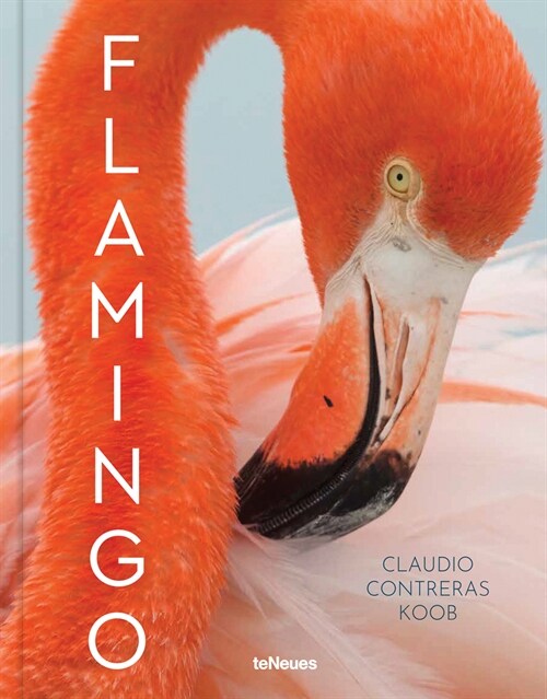 Flamingo (Hardcover)