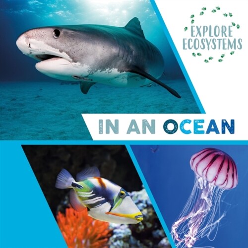 Explore Ecosystems: In an Ocean (Hardcover)