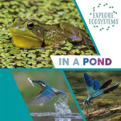 Explore Ecosystems: In a Pond (Hardcover, Illustrated ed)