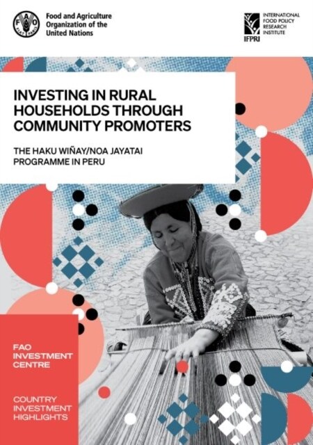 Investing in rural households through community promoters : The Haku Winay/Noa Jayatai programme in Peru (Paperback)