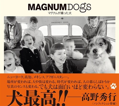 MAGNUM DOGS