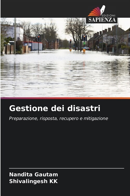 Gestione dei disastri (Paperback)