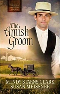The Amish Groom: Volume 1 (Paperback)