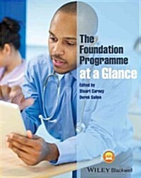 The Foundation Programme at a Glance (Paperback)